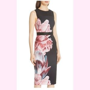 Ted Baker London Xanadu Dress Sz. 1 (US 4)